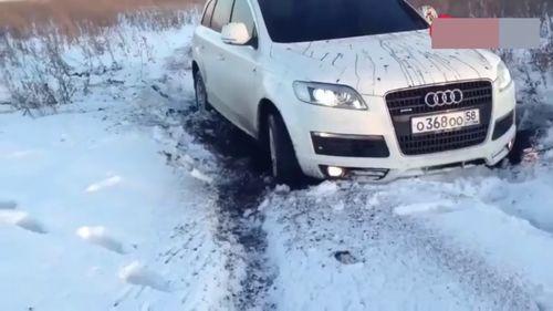 哈佛最新爆料消息视频播放,最新爆料视频深度解析