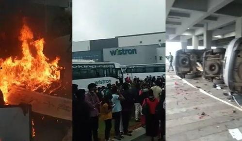 雪莲加工厂爆料视频,揭秘神秘药材的加工过程